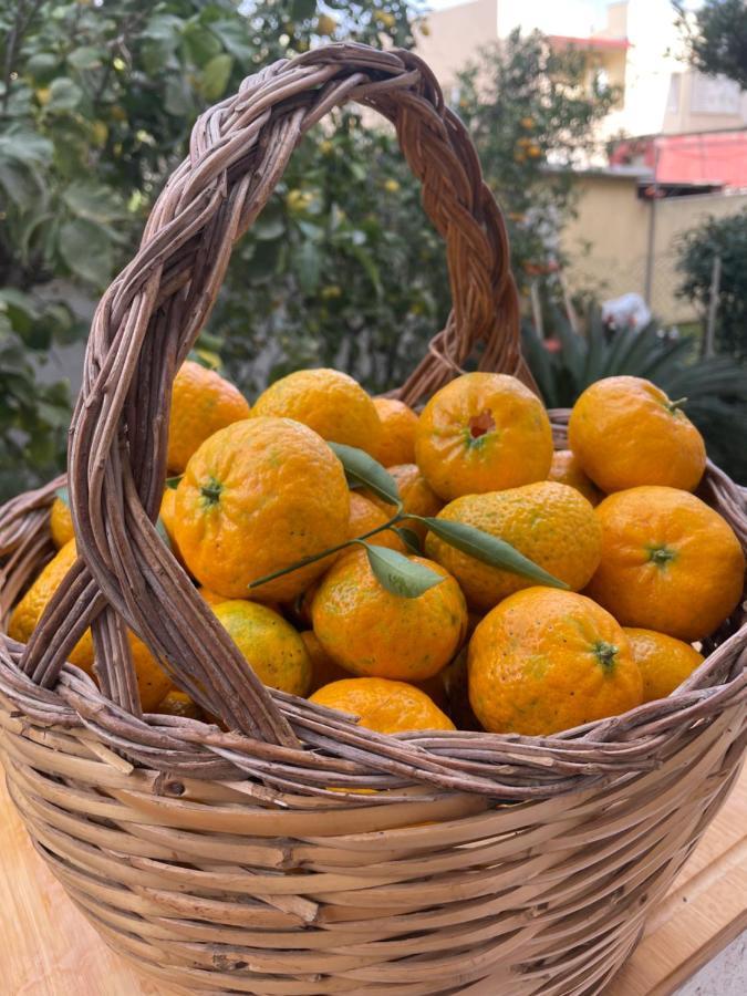 カリアリTangerine Tree Houseアパートメント エクステリア 写真
