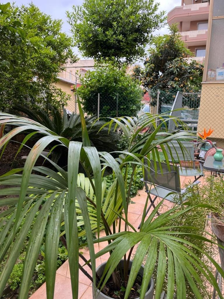 カリアリTangerine Tree Houseアパートメント エクステリア 写真